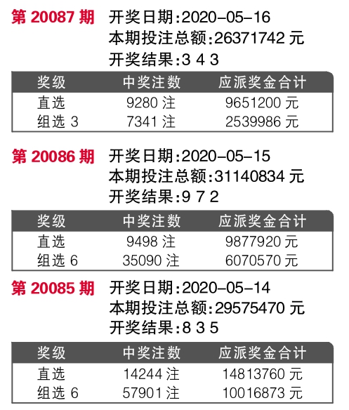 王中王开奖十记录网一,王中王开奖十记录网一，探索彩票背后的故事与魅力