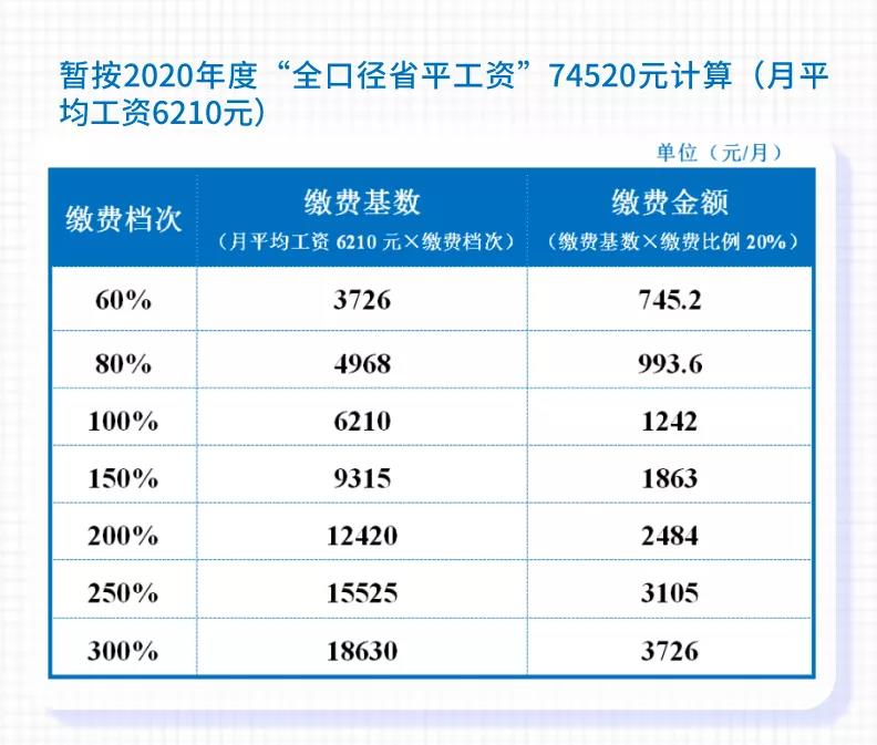 最准的一肖一码100%,关于最准的一肖一码1码100%，一个关于违法犯罪问题的探讨