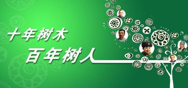 新奥长期免费资料大全三马,新奥长期免费资料大全三马深度解析