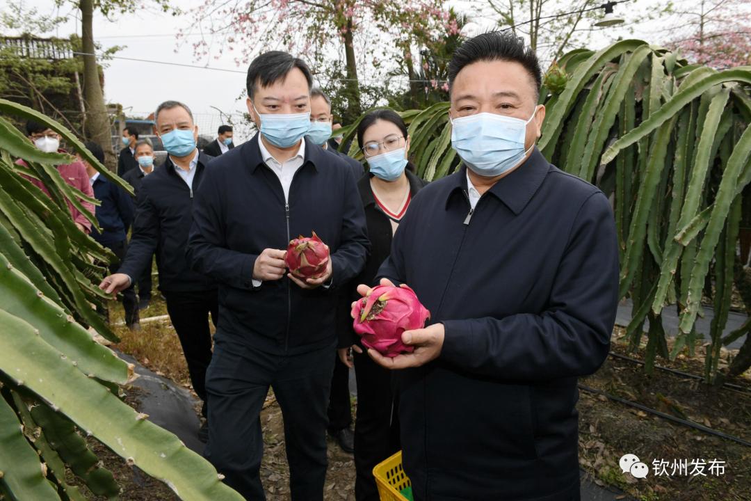 新澳资料免费大全,新澳资料免费大全，一站式获取优质资源的指南