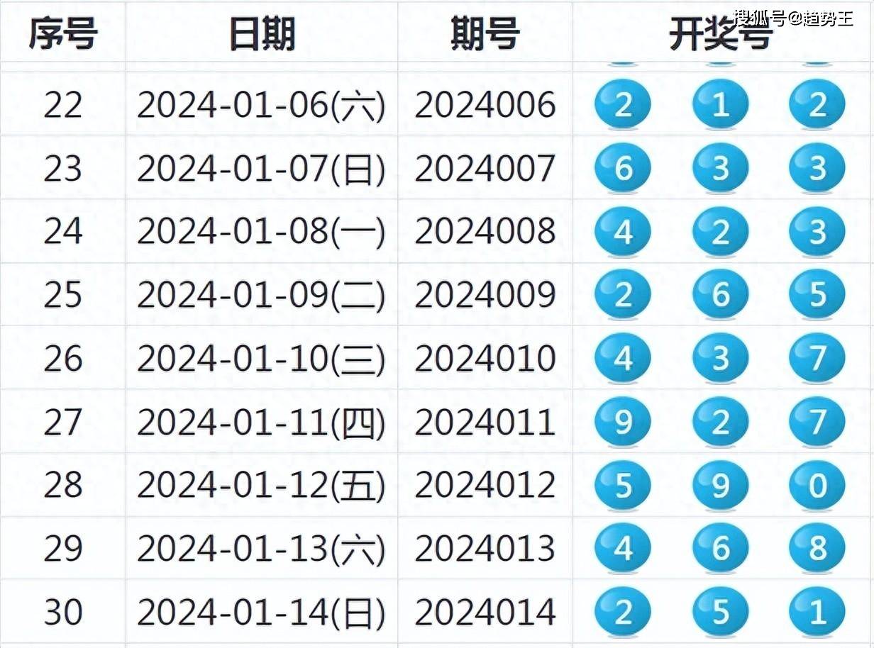 2024新澳天天开奖记录,揭秘2024新澳天天开奖记录，数据与背后的故事