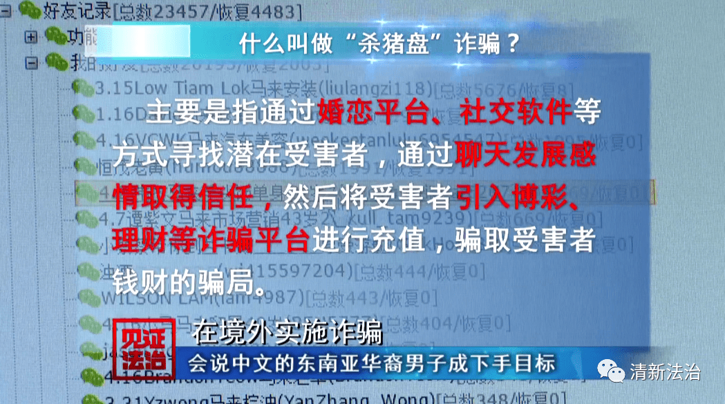 2004澳门天天开好彩大全,澳门天天开好彩，揭秘背后的真相与警示