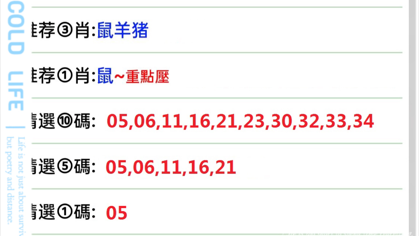 2025澳门特马今晚开奖097期,澳门特马今晚开奖，探索数字背后的故事与期待