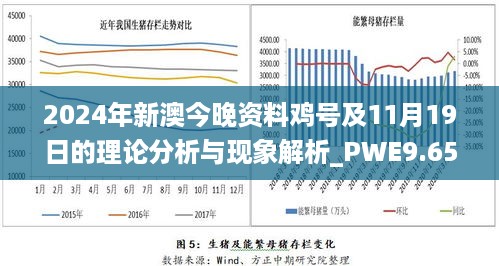 2025新澳今晚资料鸡号几号,探索未来，关于新澳今晚资料鸡号的研究与预测（2025年展望）